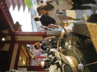 IMG_0378.JPG